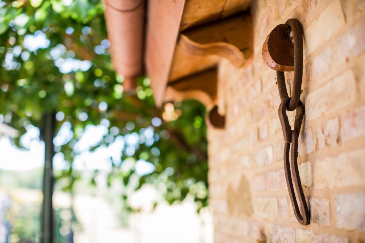 B&B Il Cavallino Civitanova Alta Buitenkant foto