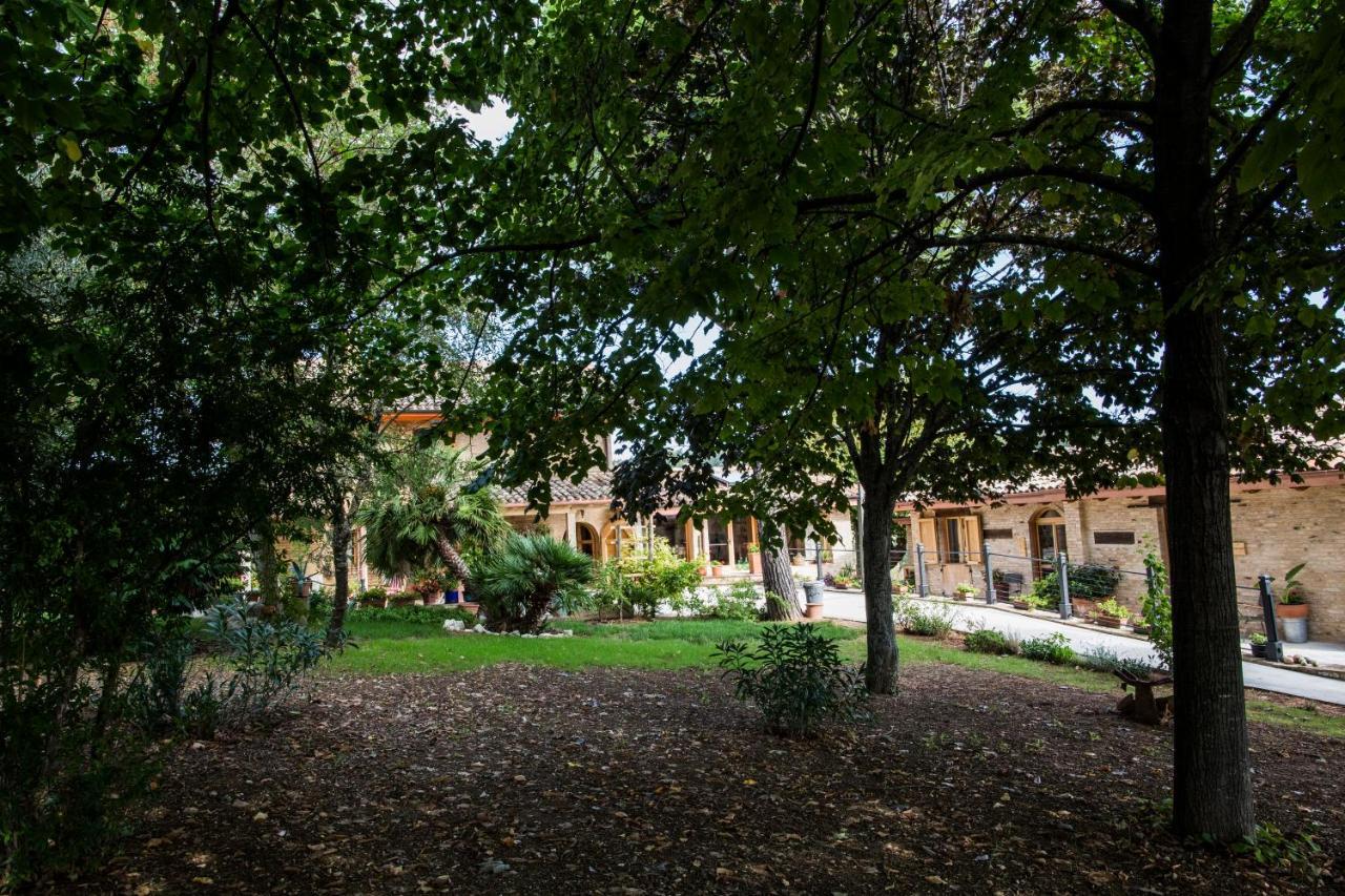 B&B Il Cavallino Civitanova Alta Buitenkant foto