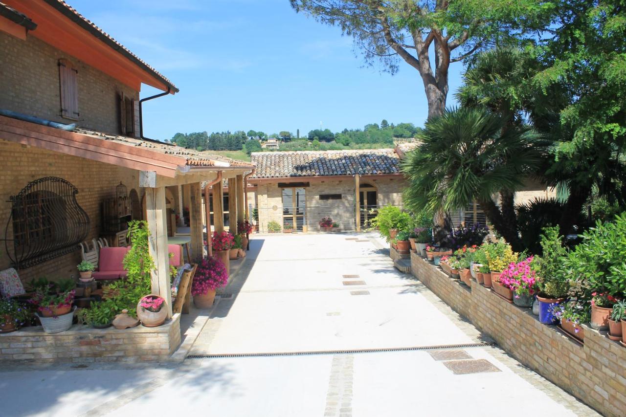 B&B Il Cavallino Civitanova Alta Buitenkant foto