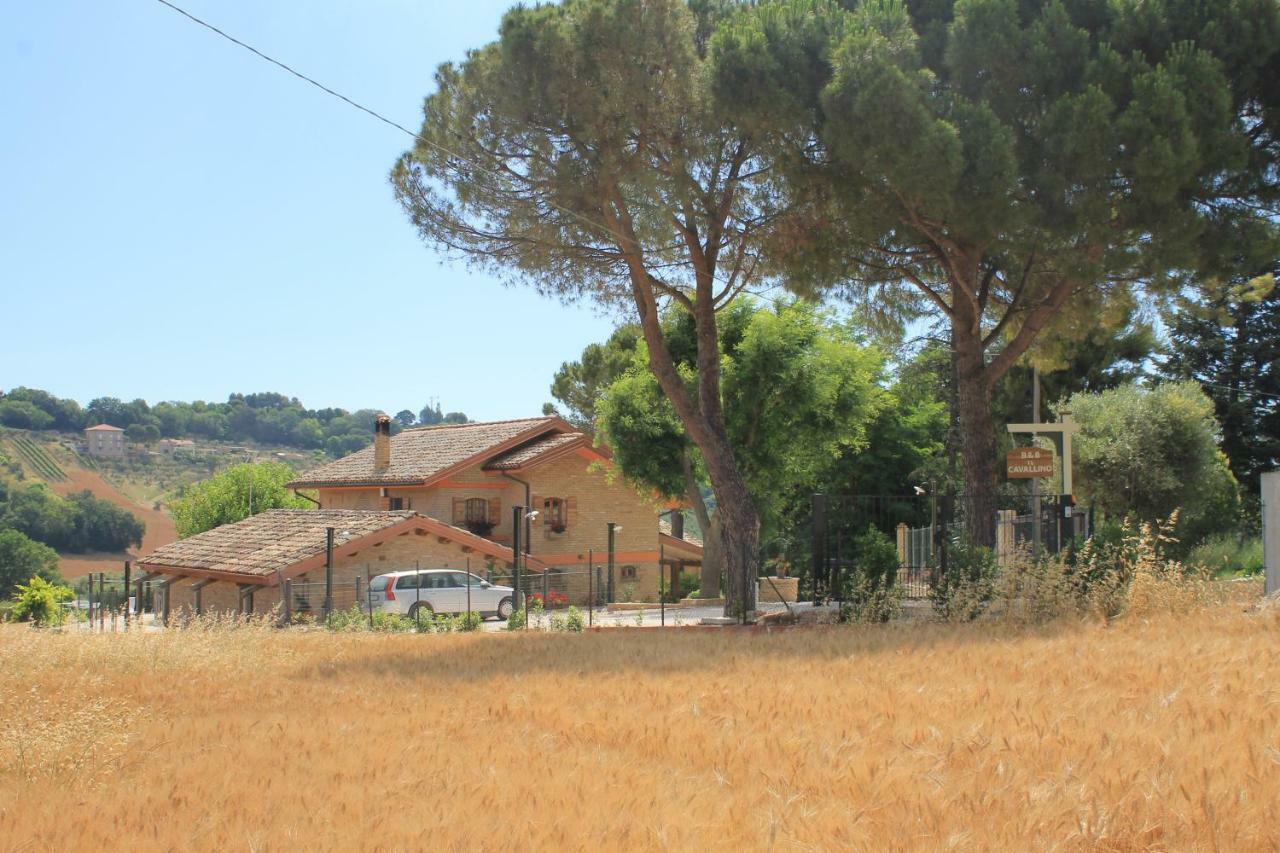 B&B Il Cavallino Civitanova Alta Buitenkant foto