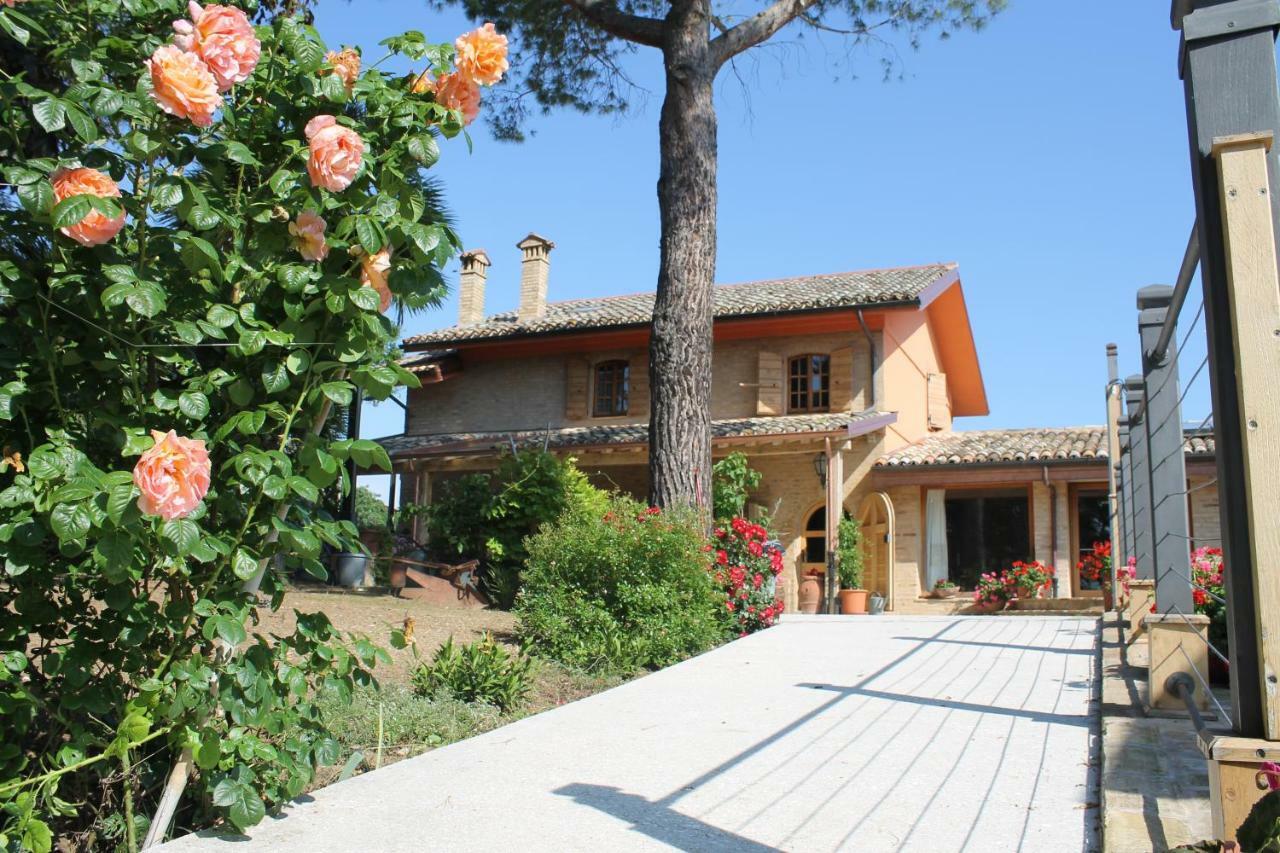 B&B Il Cavallino Civitanova Alta Buitenkant foto